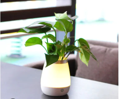 Cozy Glow Vase Lamp