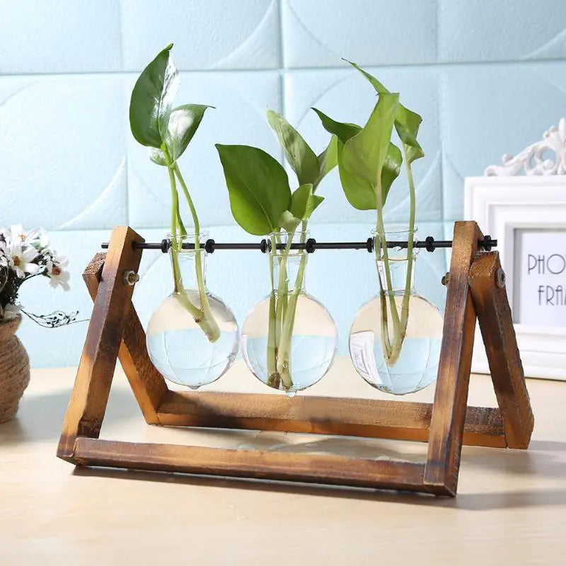 EcoChic Hydroponic Glass Planters