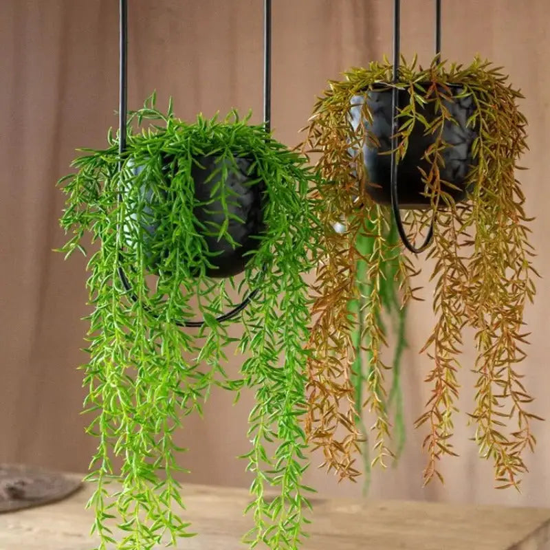 Botanical Bliss Hanging Planter