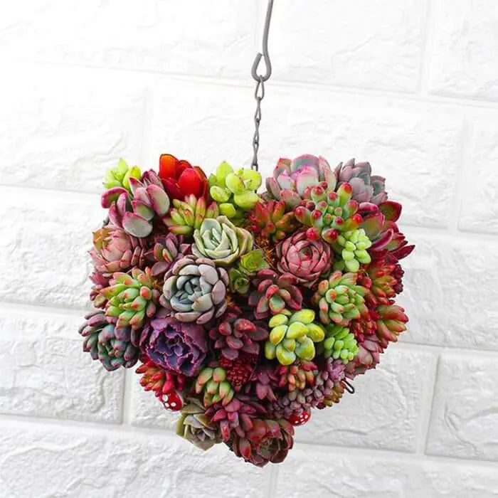 VerdeVista Hanging Garden