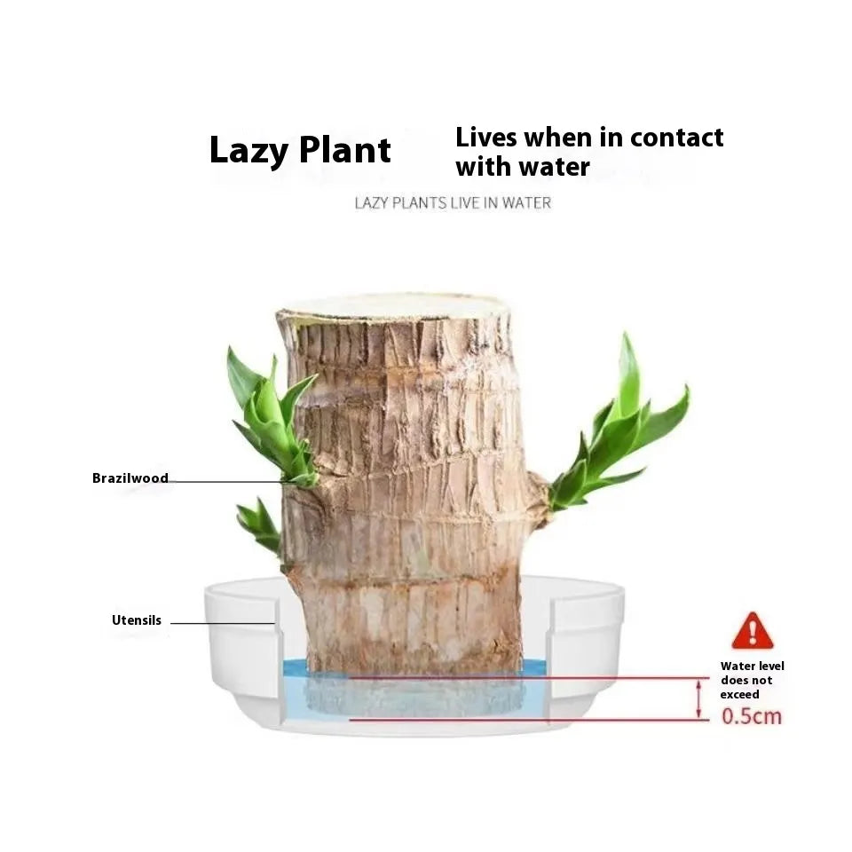 EcoStyle Liren Flowering Tree Stump