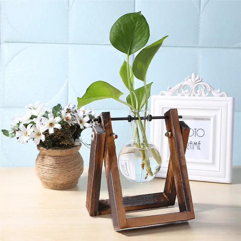 EcoChic Hydroponic Glass Planters