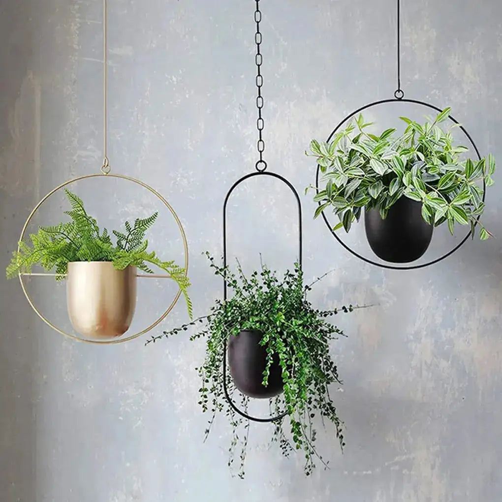 Botanical Bliss Hanging Planter