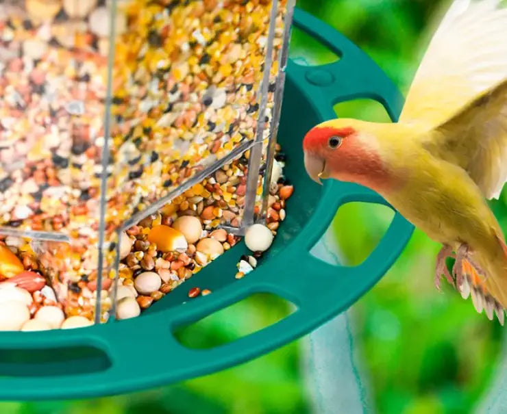 WingServe Multi-Feeder