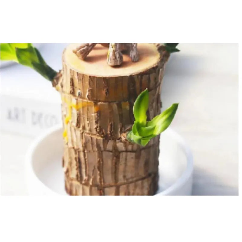 EcoStyle Liren Flowering Tree Stump