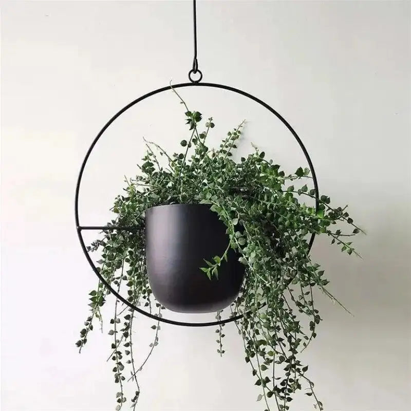 Botanical Bliss Hanging Planter