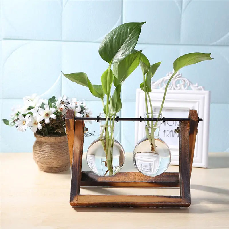 EcoChic Hydroponic Glass Planters